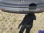 Volkswagen Tiguan Allspace 2.0 TSI MR`17 E6 Aukcja 310450 - grafika 39
