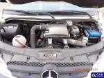 Mercedes-Benz Sprinter  Aukcja 310814 - grafika 36