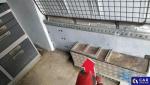 Ford Transit FT 350 2.2 TDCi MR`12 E5 3.5t Aukcja 320292 - grafika 59
