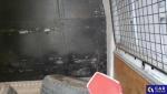 Ford Transit FT 350 2.4 TDCi Kat. MR`07 E4 3.5t Aukcja 320294 - grafika 58