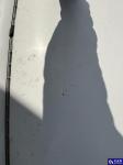 Ford Transit FT 350 2.2 TDCi MR`12 E5 3.5t Aukcja 320296 - grafika 38