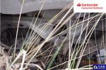 Ford Transit Custom 300 L2H1 Ambiente Aukcja 310533 - grafika 44