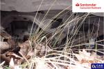 Ford Transit Custom 300 L2H1 Ambiente Aukcja 310533 - grafika 46