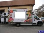 Fiat Ducato MAXI 2.2 M-jet MR`21 E6d-F 3.5t Aukcja 310834 - grafika 5