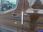 Ford Transit 350 L3H3 RWD Trend Aukcja 313334 - grafika 60