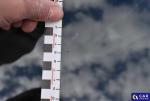 Opel Corsa E 1.4 MR`14 E6 Aukcja 311282 - grafika 94