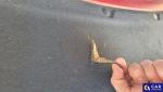 Hyundai i30 1.0 T-GDI Classic + DCT Aukcja 311434 - grafika 32
