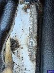 Ford Transit Connect 230 L2 Trend Aukcja 311446 - grafika 13