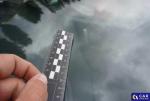 Kia Ceed Cee'd 1.4 MR`16 E6 Aukcja 312426 - grafika 97
