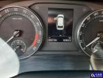 Skoda Octavia IV 2.0 TDI MR`20 E6d Aukcja 313142 - grafika 7