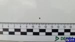Audi A4 Allroad A4 Allroad 40 TDI Quattro S tr... Aukcja 312947 - grafika 41