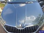 Skoda Fabia III 1.0 TSI MR`19 E6d Aukcja 313210 - grafika 38