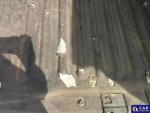 Peugeot Partner 1.6 BlueHDi MR`19 E6 2.0t Aukcja 313526 - grafika 167