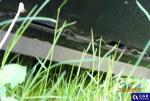 Peugeot Partner BlueHDi MR`15 E6 2.2t Aukcja 320234 - grafika 12