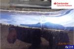 BMW Seria 3 320d xDrive Sport Line aut Aukcja 313631 - grafika 79