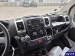 Fiat Ducato Maxi MJ L4 Aukcja 313725 - grafika 12