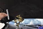 Ford Focus 1.5 EcoBlue MR`18 E6 Aukcja 313903 - grafika 28