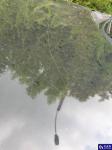 Mitsubishi Outlander 2.0 MR`19 E6d Aukcja 314908 - grafika 86