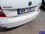 Skoda Octavia III 1.6 TDI-CR MR`18 E6 Aukcja 318024 - grafika 16