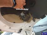 Skoda Octavia IV 2.0 TDI MR`20 E6d Aukcja 318026 - grafika 130
