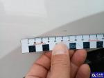 Skoda Octavia IV 2.0 TDI MR`20 E6d Aukcja 318027 - grafika 39