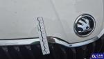 Skoda Fabia 1.0 Ambition Aukcja 317922 - grafika 39