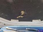 BMW Seria 3 318d mHEV aut Aukcja 317942 - grafika 37