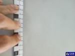 Volkswagen Polo VI 1.6 TDI MR`18 E6 Aukcja 318415 - grafika 107
