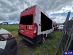 Fiat Ducato  Aukcja 319079 - grafika 66