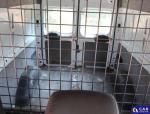 Ford Transit FT 300 2.2 TDCi MR`12 E5 3.0t Aukcja 318721 - grafika 69