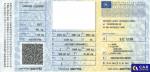 Skoda Fabia III 1.0 TSI MR`19 E6d Aukcja 319117 - grafika 96
