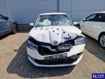Skoda Fabia III 1.0 TSI MR`19 E6d Aukcja 319117 - grafika 6