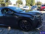 Lexus NX NX 350h F Sport AWD Aukcja 319081 - grafika 6
