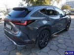 Lexus NX NX 350h F Sport AWD Aukcja 319081 - grafika 8