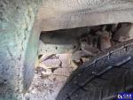 Iveco Daily  Aukcja 319238 - grafika 6