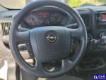 Opel Movano CDTI L3H2 Aukcja 319787 - grafika 23