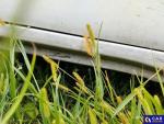 Renault Master FWD dCi MR`14 E6 3.5t Aukcja 320959 - grafika 50
