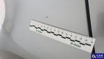 Suzuki Swift 1.2 Dualjet SHVS Premium Aukcja 321736 - grafika 52