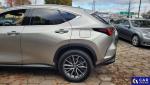 Lexus NX NX 350h Prestige AWD Aukcja 319794 - grafika 11