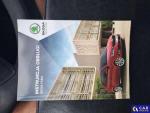 Skoda Fabia III 1.0 TSI MR`19 E6d Aukcja 320201 - grafika 50
