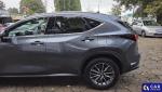 Lexus NX NX 350h Business 2WD Aukcja 320838 - grafika 10
