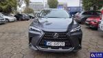 Lexus NX NX 350h Business 2WD Aukcja 320838 - grafika 2