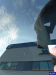 Opel Corsa Van MR`15 E6 1.6t Aukcja 321183 - grafika 32
