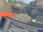 Audi A6 Avant 35 TDi MR`18 E6d C8 Aukcja 324037 - grafika 59