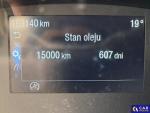 Ford Transit Custom 300 L2H1 Trend Aukcja 321654 - grafika 17
