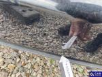 BMW Seria 2 218i Gran Coupe MR`19 E6d/e F44 Aukcja 321916 - grafika 86