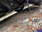Audi A4 Avant 35 TFSI MR`20 E6d B9 Aukcja 321921 - grafika 152