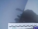 Opel Astra V 1.2 T GS Line S&S Aukcja 322593 - grafika 44
