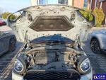 MINI Cooper S Cooper S MINI Untamed Editio... Aukcja 322552 - grafika 24