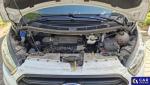 Ford Transit Custom 300 L2H1 Trend Aukcja 323016 - grafika 24